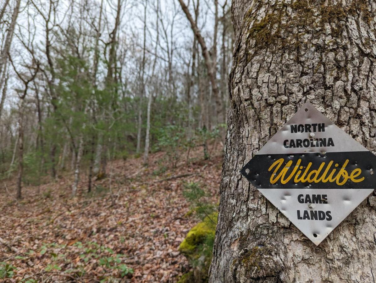 Hidden Hollow Bed And Breakfast Otto Buitenkant foto