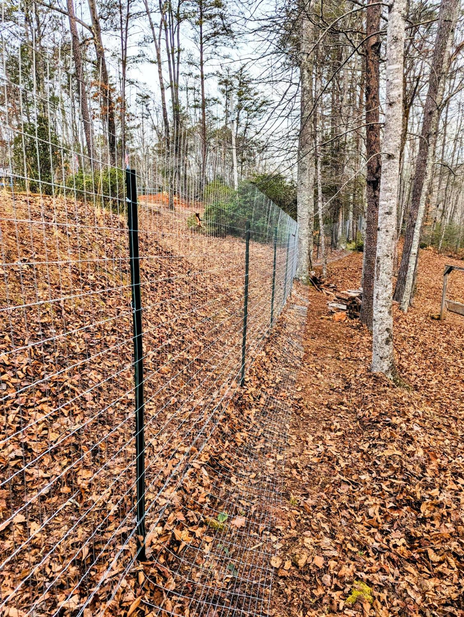 Hidden Hollow Bed And Breakfast Otto Buitenkant foto
